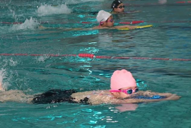 老中青幼同池競(jìng)技 駐馬店社區(qū)游泳賽展全民健身活力