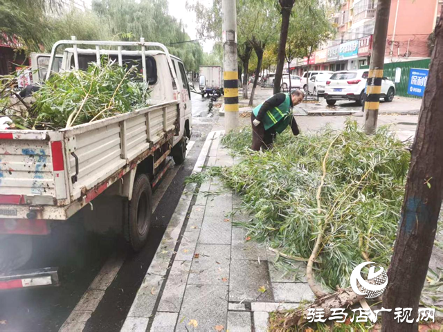  開發(fā)區(qū)城市管理事務(wù)中心以“動”制凍 清斷枝除隱患保暢通