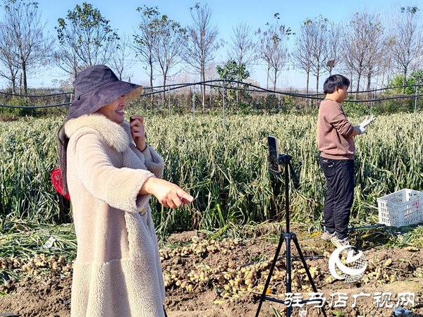 供聚農(nóng)心 銷(xiāo)連萬(wàn)家 駐馬店新時(shí)尚火龍果超市聯(lián)合平輿新時(shí)尚超市愛(ài)心助農(nóng)解滯銷(xiāo)難題