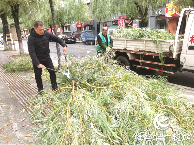  開發(fā)區(qū)城市管理事務(wù)中心以“動”制凍 清斷枝除隱患保暢通