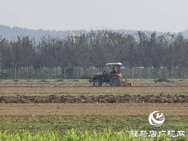 泌陽縣高邑鎮(zhèn)：晴空萬里好天氣 人勤機(jī)鳴播麥時(shí)