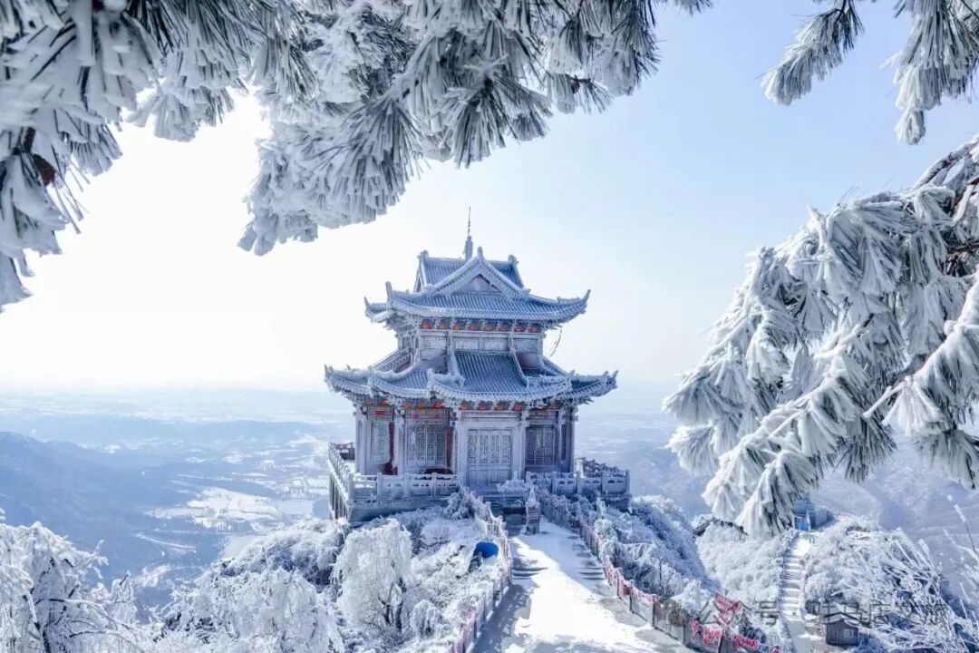 雪落天中！駐馬店初雪刷屏~這些絕美雪景，你都去看過嗎