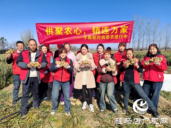 供聚農(nóng)心 銷(xiāo)連萬(wàn)家 駐馬店新時(shí)尚火龍果超市聯(lián)合平輿新時(shí)尚超市愛(ài)心助農(nóng)解滯銷(xiāo)難題