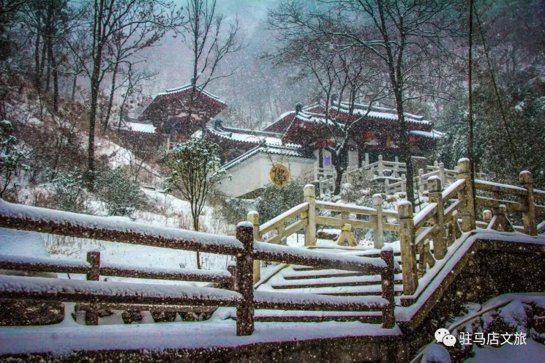 雪落天中！駐馬店初雪刷屏~這些絕美雪景，你都去看過嗎