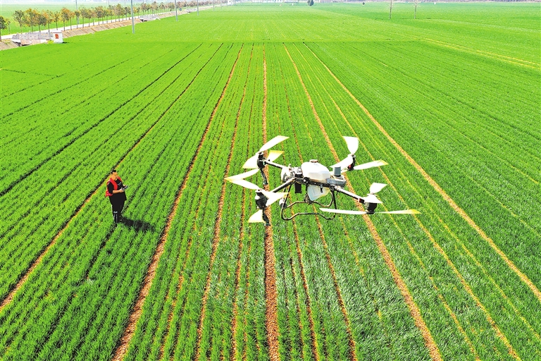 用好冬春農(nóng)田水利建設(shè)黃金期 筑牢“水脈”護(hù)“糧倉”