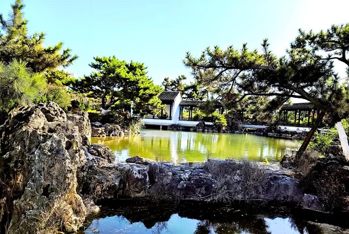 這個(gè)公園，初冬景致分外美