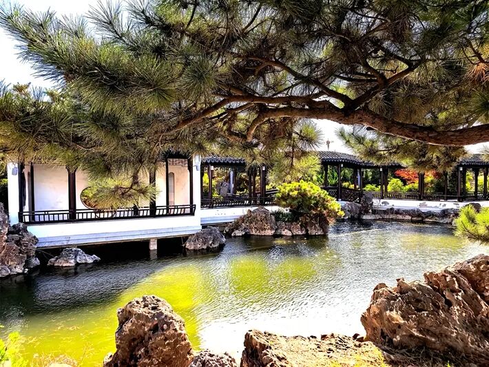 這個(gè)公園，初冬景致分外美