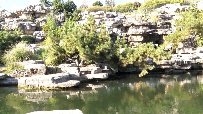 這個(gè)公園，初冬景致分外美