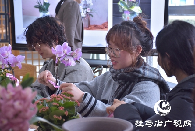 黃淮學(xué)院生物與食品工程學(xué)院開展蝴蝶蘭組盆體驗活動