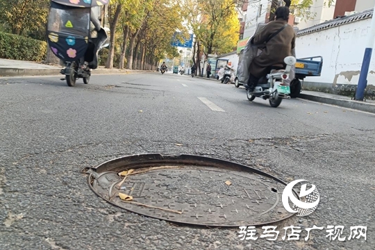 路面坑洼 路燈不亮！駿馬路出行安全隱患盼消除