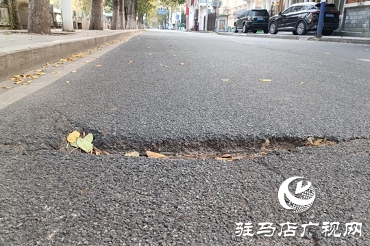 路面坑洼 路燈不亮！駿馬路出行安全隱患盼消除