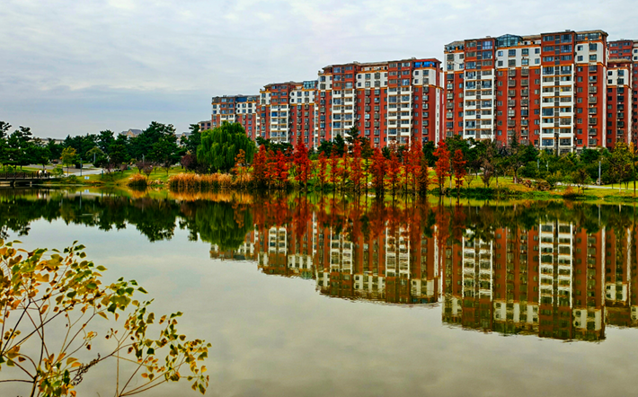縣區(qū)動態(tài)｜水杉披“紅裝” 晴光暖玉湖