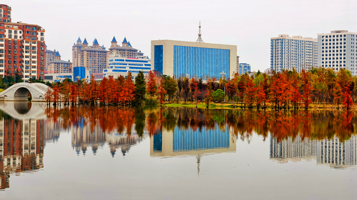 縣區(qū)動態(tài)｜水杉披“紅裝” 晴光暖玉湖