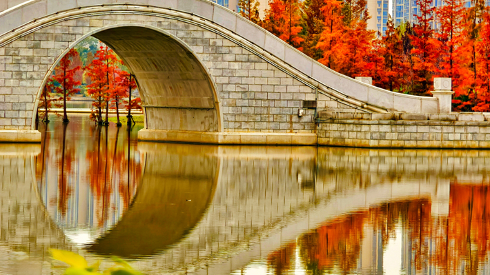 縣區(qū)動態(tài)｜水杉披“紅裝” 晴光暖玉湖