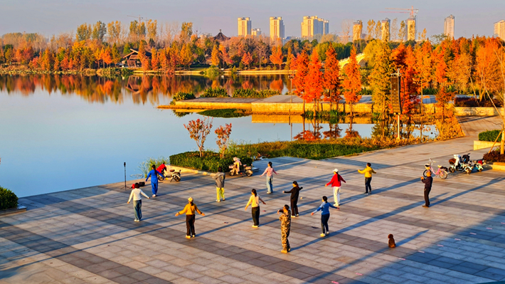 縣區(qū)動態(tài)｜水杉披“紅裝” 晴光暖玉湖