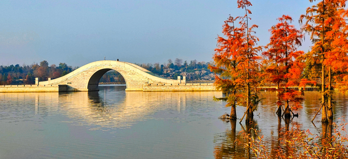 縣區(qū)動態(tài)｜水杉披“紅裝” 晴光暖玉湖