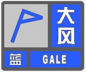 駐馬店：大風(fēng)藍(lán)色預(yù)警 出行請(qǐng)注意