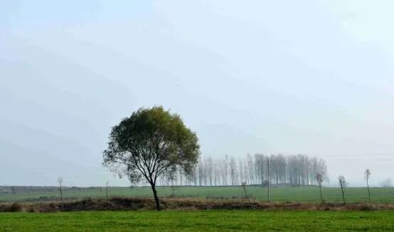 縣區(qū)動態(tài) | 象河鄉(xiāng)有兩個寶藏游玩地，每一個都值得奔赴