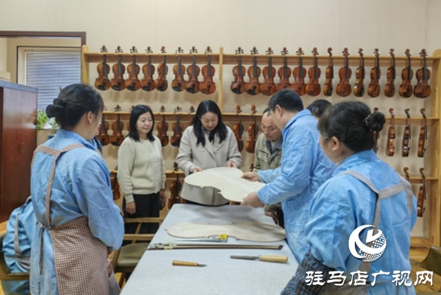 緊鑼密鼓備展農加會 確山提琴欲奏“國際歌”