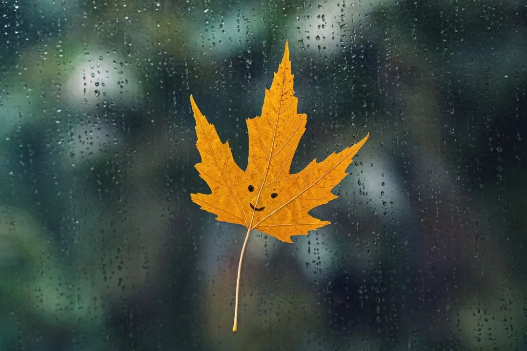 一降溫就傷感？小心“季節(jié)性情感障礙”！