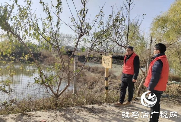 平輿縣射橋鎮(zhèn)組織專人開展重點水域安全隱患專項排查行動