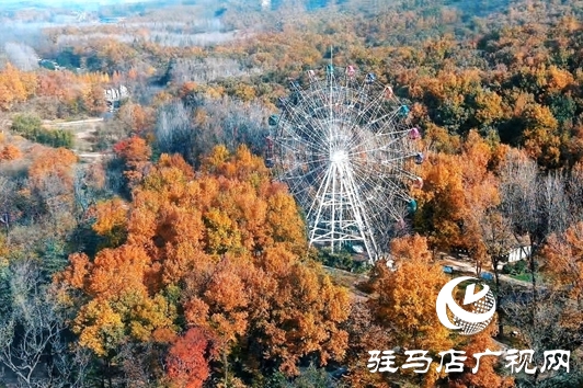 金頂山免門票迎農(nóng)加會 推動“農(nóng)業(yè)+旅游”跨界融合