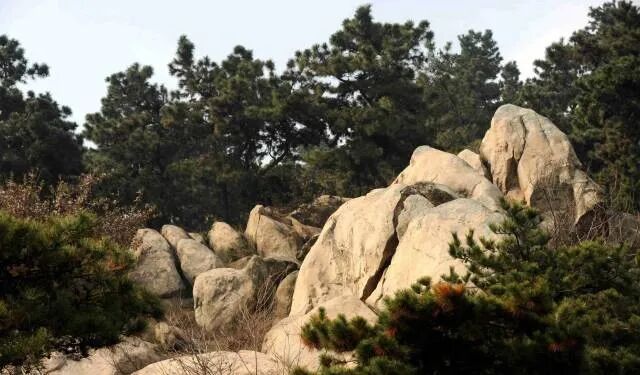 縣區(qū)動態(tài) | 象河鄉(xiāng)有兩個寶藏游玩地，每一個都值得奔赴