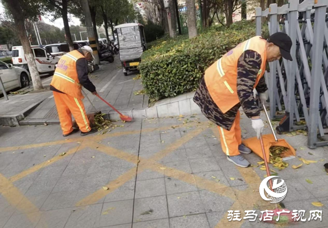 開發(fā)區(qū)城市管理事務中心積極應對強風天氣 全力保障城市平穩(wěn)運行