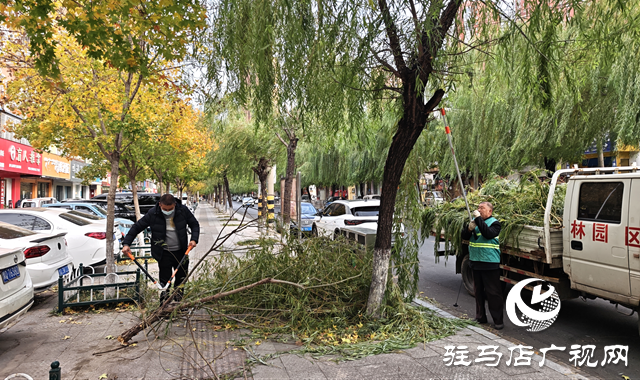 開發(fā)區(qū)城市管理事務中心積極應對強風天氣 全力保障城市平穩(wěn)運行