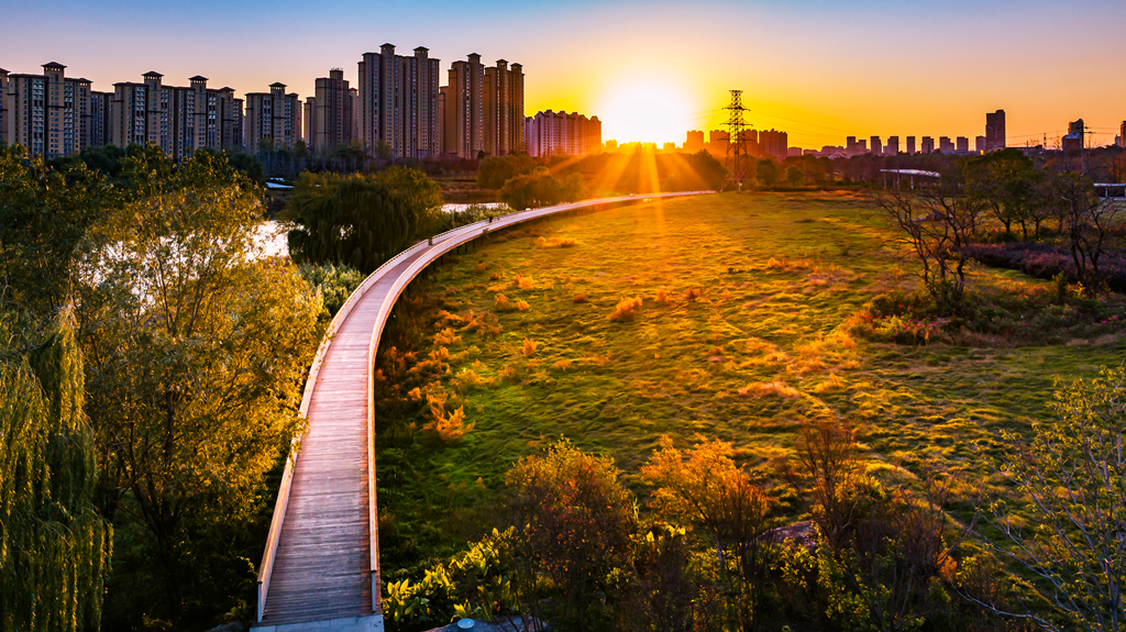縣區(qū)動(dòng)態(tài) | 月季迎冬開 繁花送香來(lái)