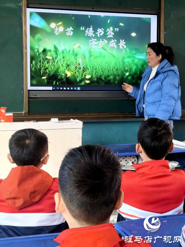平輿縣古槐第二小學(xué)開展護(hù)苗綠書簽活動(dòng)：書香浸潤成長