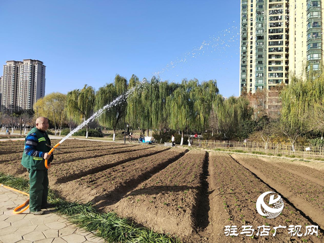 駐馬店：園林精心養(yǎng)護(hù)迎盛會 滿城綠意笑納八方客