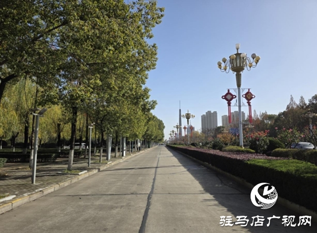 駐馬店：園林精心養(yǎng)護迎盛會 滿城綠意笑納八方客