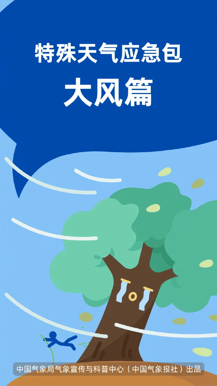 這份大風(fēng)天氣“應(yīng)急包”請收好！