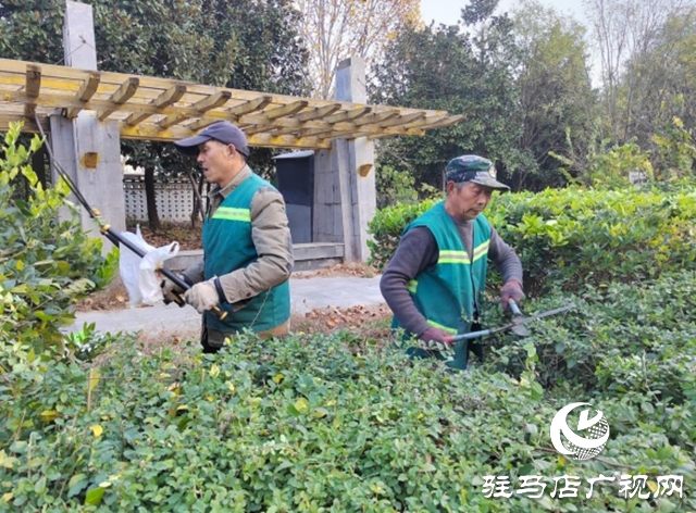 駐馬店：園林精心養(yǎng)護迎盛會 滿城綠意笑納八方客