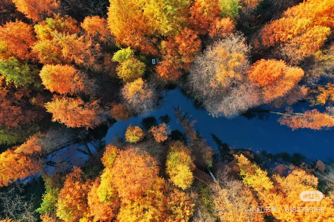 冬日信陽，獨(dú)具魅力！