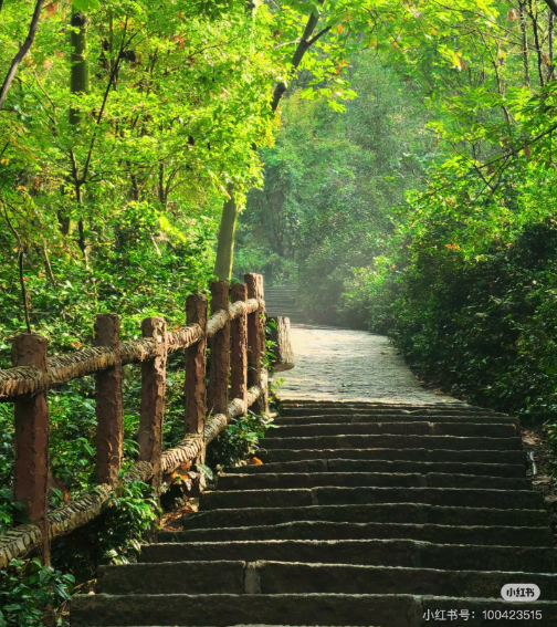 冬日信陽，獨(dú)具魅力！