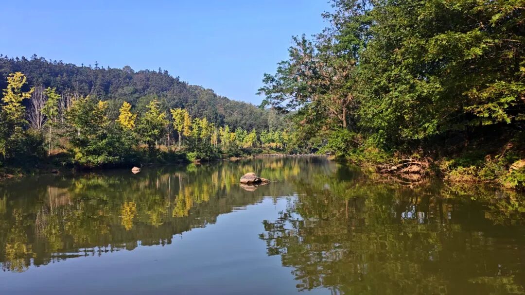 冬日信陽，獨(dú)具魅力！