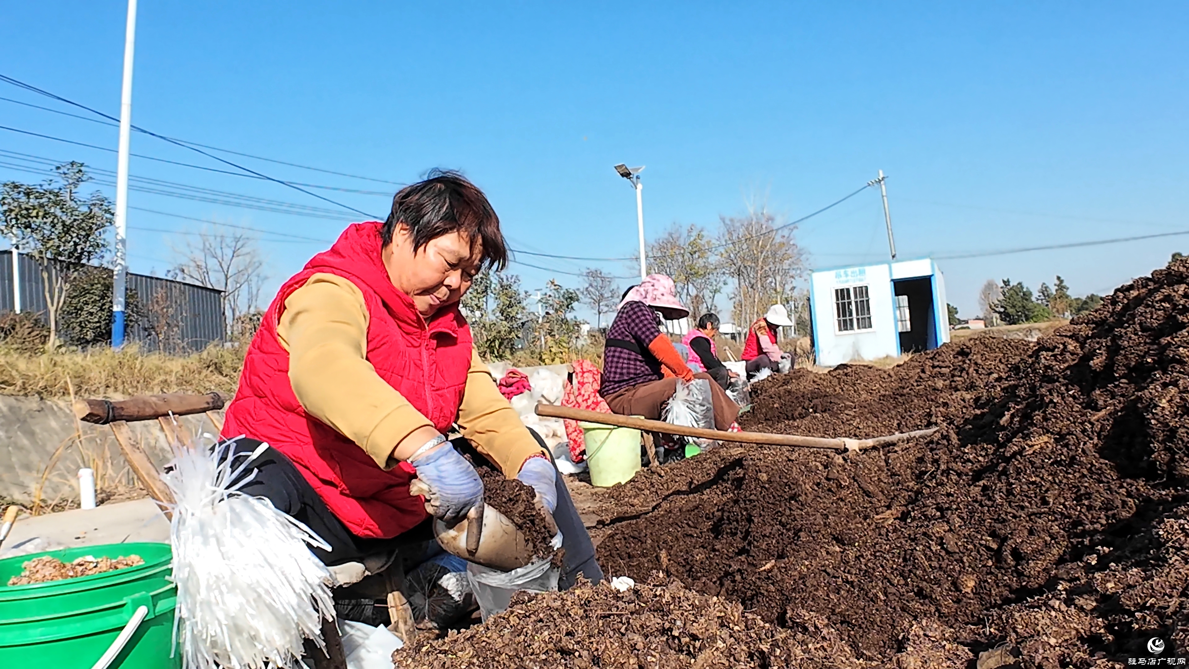 正陽(yáng)縣熊寨鎮(zhèn)毛集村：菌菇撐起“致富傘” 鄉(xiāng)村綻放“幸福花”