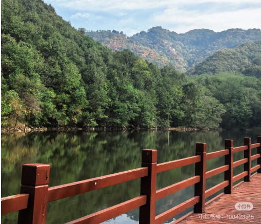 冬日信陽，獨(dú)具魅力！