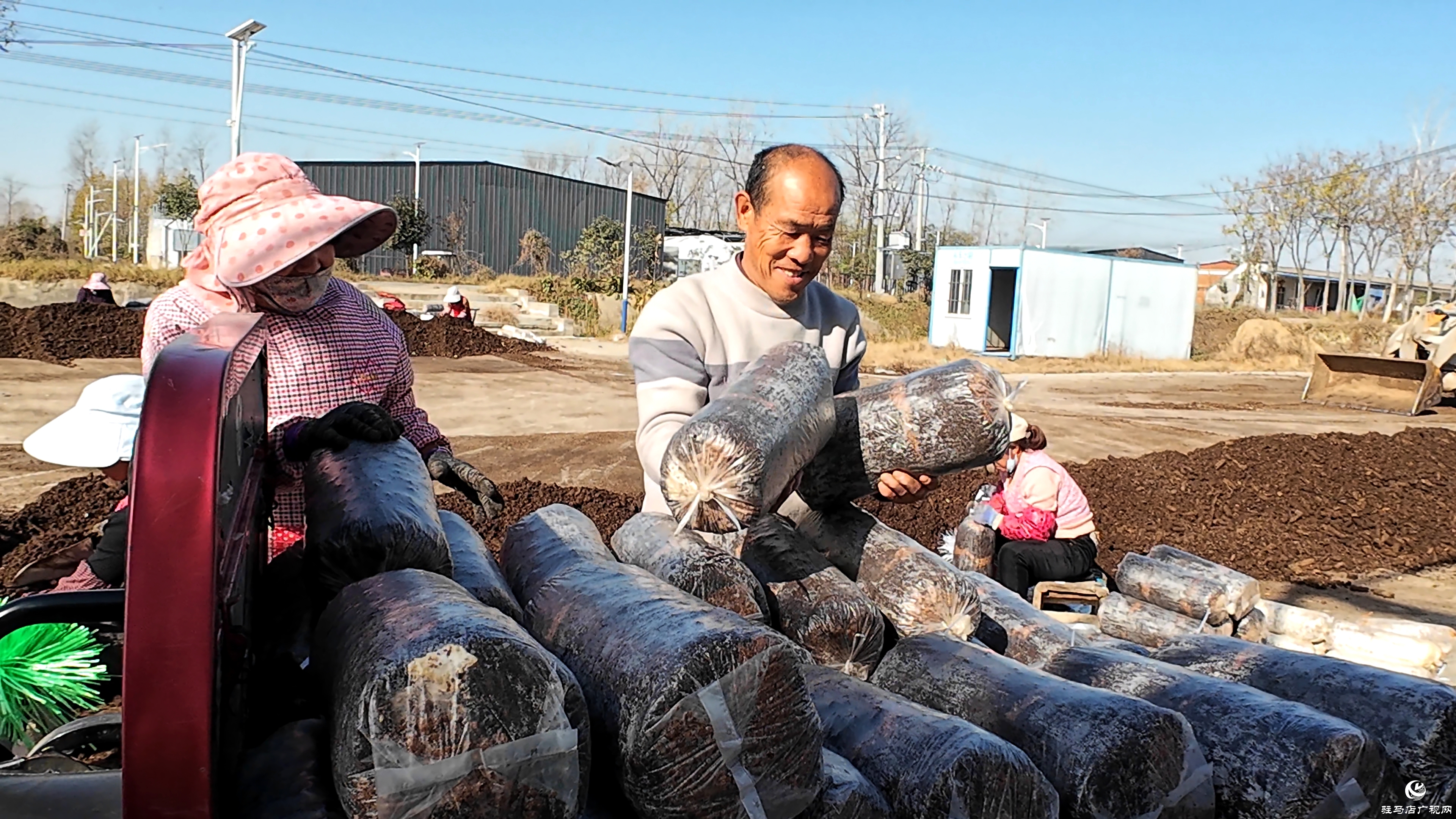 正陽(yáng)縣熊寨鎮(zhèn)毛集村：菌菇撐起“致富傘” 鄉(xiāng)村綻放“幸?；ā? (1)(4).jpg