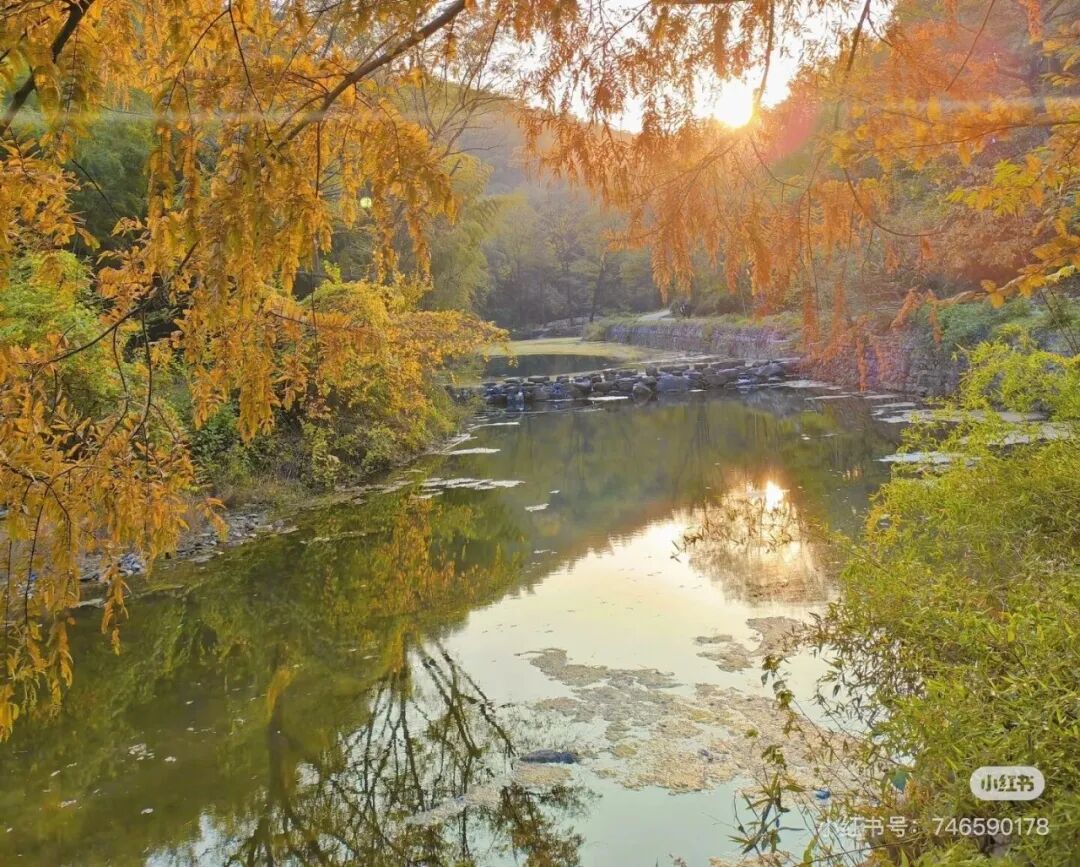 冬日信陽，獨(dú)具魅力！