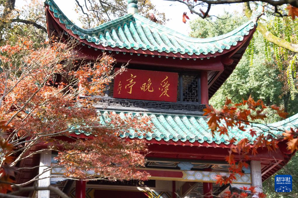 楓葉扮靚愛晚亭