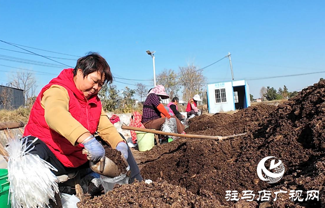 正陽縣熊寨鎮(zhèn)毛集村：菌菇撐起“致富傘” 鄉(xiāng)村綻放“幸?；ā? width=
