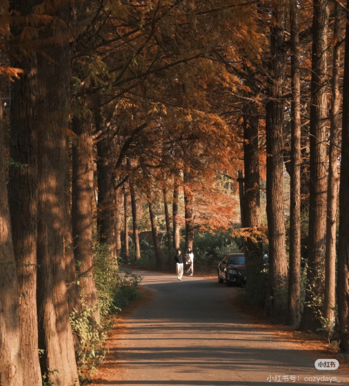 冬日信陽，獨(dú)具魅力！