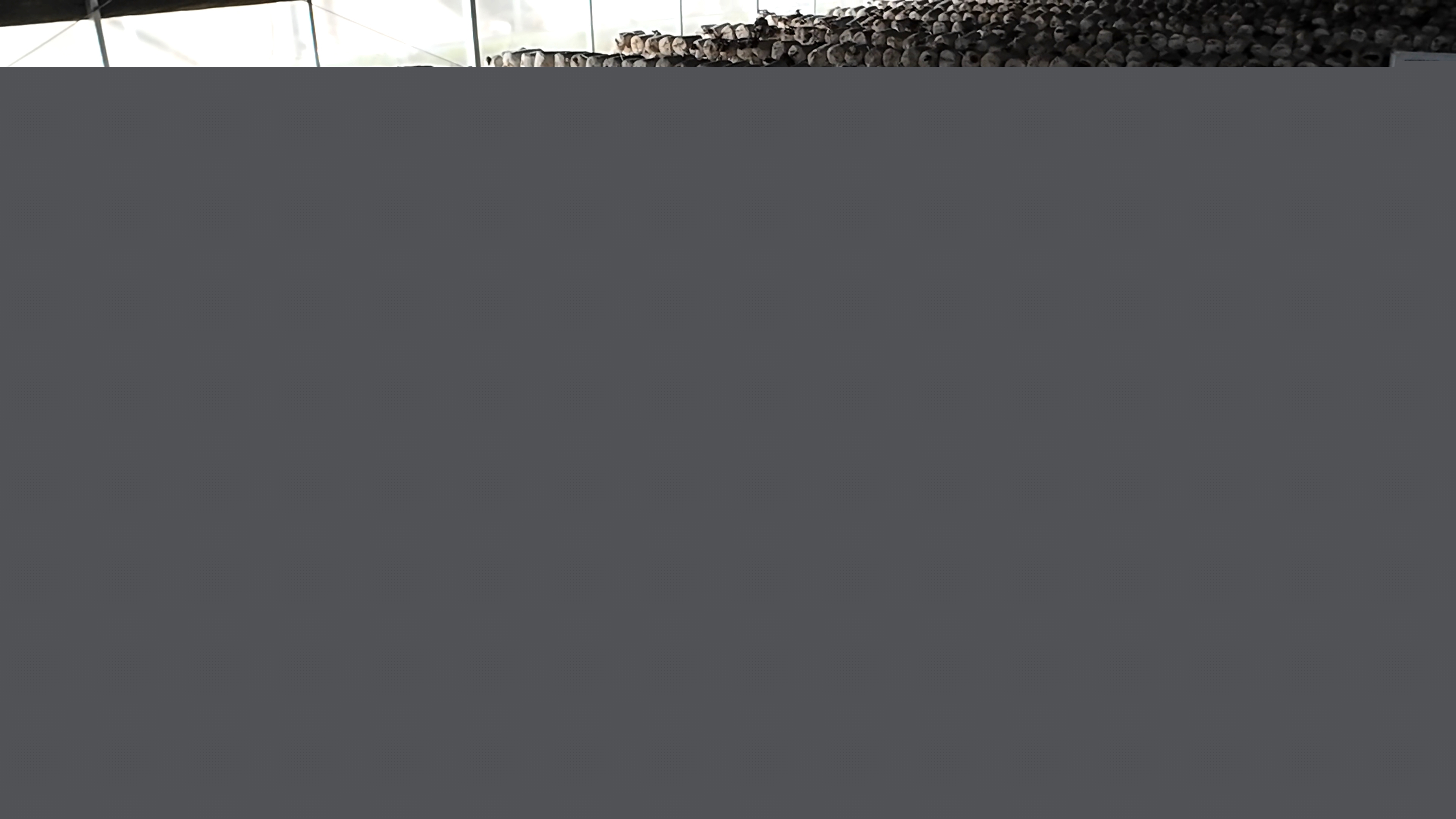 正陽(yáng)縣熊寨鎮(zhèn)毛集村：菌菇撐起“致富傘” 鄉(xiāng)村綻放“幸?；ā? (1)(3).jpg