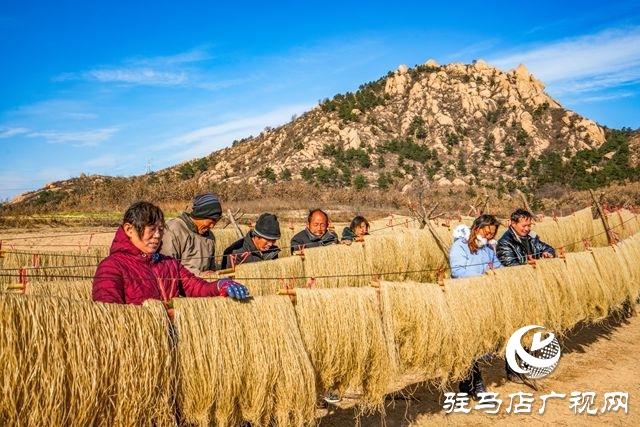 粉條搭起致富橋 ——走進(jìn)駐馬店驛城區(qū)板橋鎮(zhèn)口門村黑石山自然村許學(xué)用的粉條加工點(diǎn)