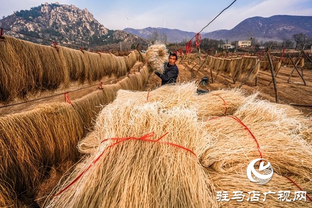 粉條搭起致富橋 ——走進(jìn)駐馬店驛城區(qū)板橋鎮(zhèn)口門村黑石山自然村許學(xué)用的粉條加工點(diǎn)