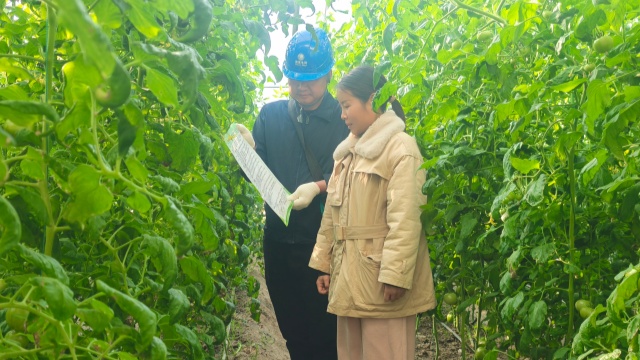 國網(wǎng)新蔡縣供電公司：電力靠前服務(wù)守護群眾“菜籃子”