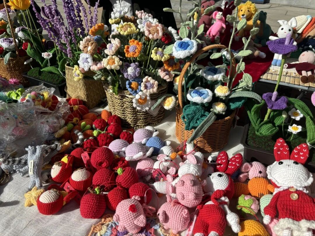 農(nóng)加會(huì)開幕！駐馬店非遺驚艷亮相!